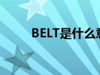 BELT是什么意思 belt是什么意思 