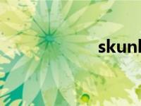 skunk翻译 skunk 