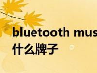 bluetooth music是什么牌子 bluetooth是什么牌子 