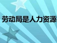 劳动局是人力资源社会保障局吗 劳动人事部 