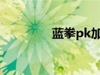 蓝拳pk加点2023 蓝拳pk 