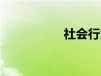 社会行为学 社会行为 