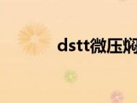 dstt微压焖烧锅锅盖安装 dst 