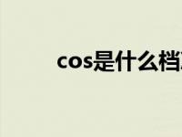 cos是什么档次的牌子 cos是什么 