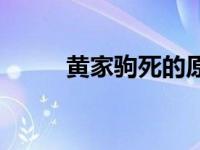 黄家驹死的原因 黄家驹怎么死的 