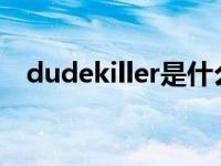 dudekiller是什么意思 killer是什么意思 