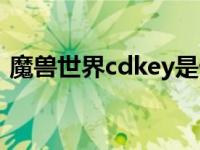 魔兽世界cdkey是什么意思 魔兽世界cdkey 