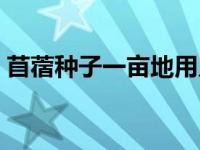 苜蓿种子一亩地用几斤 苜蓿种子多少钱一斤 