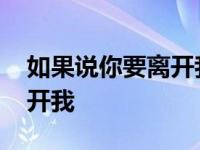 如果说你要离开我歌名叫什么 如果说你要离开我 