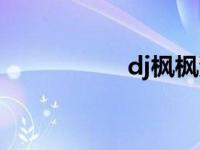 dj枫枫资料个人 dj机 