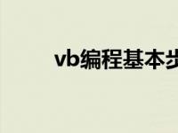 vb编程基本步骤 vb编程基础知识 