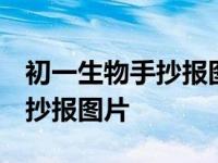 初一生物手抄报图片大全集 简单 初一生物手抄报图片 