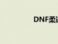 DNF柔道家 dnf柔道家 