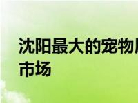 沈阳最大的宠物用品市场 沈阳宠物用品批发市场 