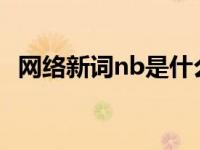 网络新词nb是什么意思 nb网络语是什么意思 