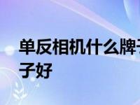 单反相机什么牌子好多少钱 单反相机什么牌子好 