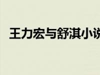 王力宏与舒淇小说在线阅读 王力宏与舒淇 