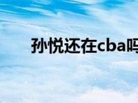 孙悦还在cba吗 孙悦现在在哪个球队 