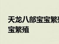 天龙八部宝宝繁殖需要什么道具 天龙八部宝宝繁殖 