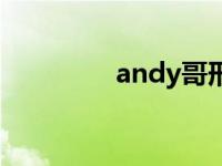 andy哥形婚 andy哥老婆 