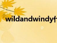 wildandwindy什么意思 wildandwindy 