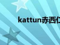 kattun赤西仁为什么退团 kattun 