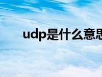 udp是什么意思生物 udp是什么意思 