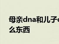 母亲dna和儿子dna一样不 和狗做要准备什么东西 