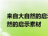 来自大自然的启示高中议论文素材 来自大自然的启示素材 