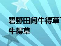 碧野田间牛得草下联是什么三年级 碧野田间牛得草 