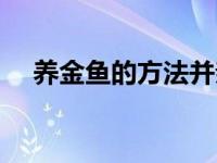 养金鱼的方法并亲自喂养 养金鱼的方法 