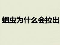 蛔虫为什么会拉出来 蛔虫为什么出来就死了 