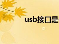 usb接口是什么样子 usb接口 