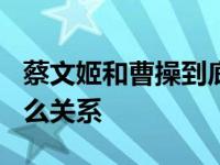 蔡文姬和曹操到底什么关系? 蔡文姬和曹操什么关系 