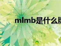 mlmb是什么牌子 mlmr是什么牌子 