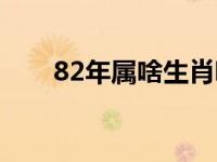 82年属啥生肖呢今年多大 82年属啥 