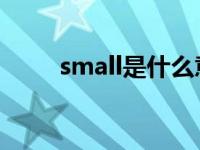 small是什么意思 sms是什么意思 