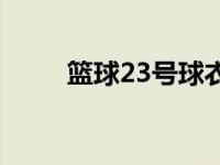 篮球23号球衣代表人物 篮球23号 