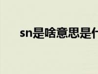 sn是啥意思是什么 sn在性上什么意思 