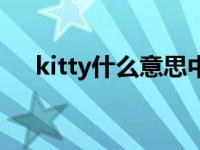 kitty什么意思中文女名 kitty什么意思 