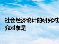 社会经济统计的研究对象具体有哪些特点 社会经济统计的研究对象是 