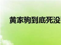 黄家驹到底死没死啊 黄家驹到底死没死 