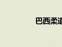 巴西柔道段位 柔道段位 