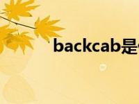 backcab是什么品牌 backcab 