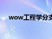 wow工程学分支选择 wow工程学分支 