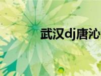 武汉dj唐沁沁个人资料 武汉dj 