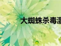 大蜘蛛杀毒激活码 大蜘蛛序列号 