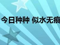 今日种种 似水无痕啥意思 今日种种似水无痕 