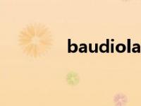 baudiolab专业版 baudio 