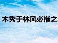 木秀于林风必摧之辩论稿 木秀于林风必摧之 